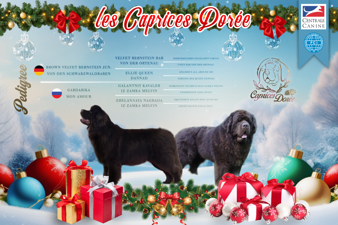 Confirmation de gestation