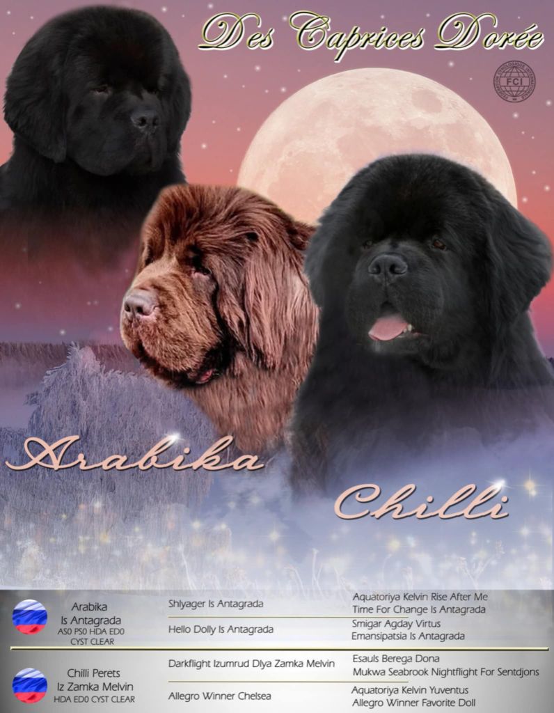 Confirmation de gestation 